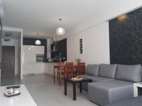  Apartament Warszawska   Гожов Великополски